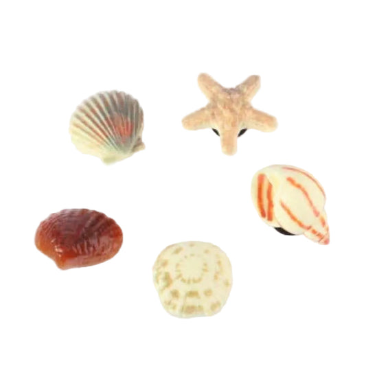 5 Pins Coquillages